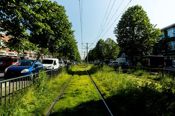 Medium property photo - Lunterenstraat 13, 2573 PA Den Haag